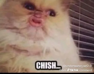 Chish